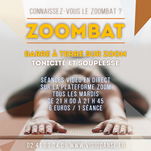 image_zoombat